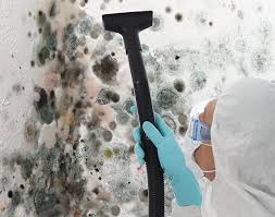 Lake Geneva, WI Mold Prevention & Removal  Company